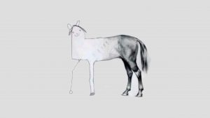 A beautifully half-sketched horse is completed with a rough outline of a head. The picture is used to symbolise what to do if you run out of time in the IELTS writing exam.