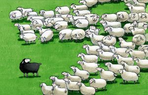 A lone black sheep looks back at a flock of what sheep. The picture symbolises over-generalising, which is a problem for many IELTS students when they write.