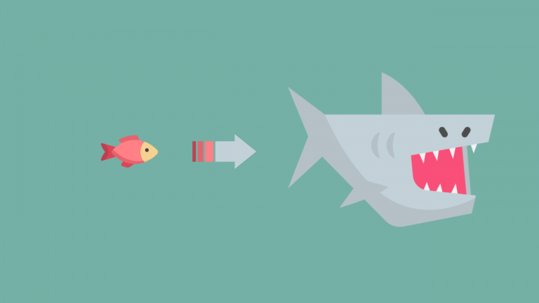 A small fish on the left is next to an arrow that leads to a shark to show that students often exaggerate in IELTS Cause Effect Essays